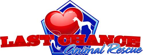 Last Chance Animal Rescue